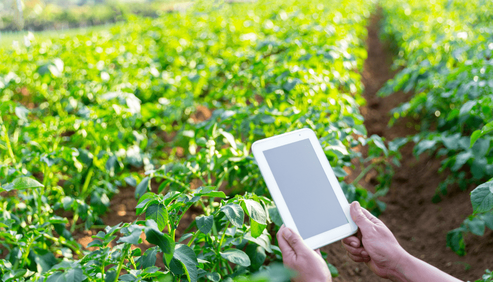 El Ministerio de Agricultura recibe 212 solicitudes para optar a las ayudas de innovación de grupos operativos supraautonómicos