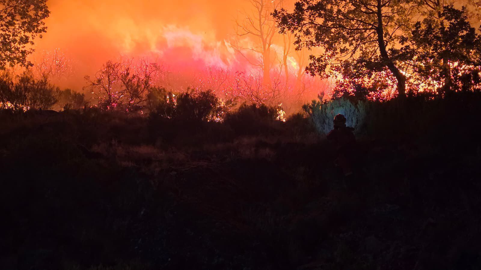 Ecologistas piden suspender la caza en zonas afectadas por los grandes incendios en Extremadura