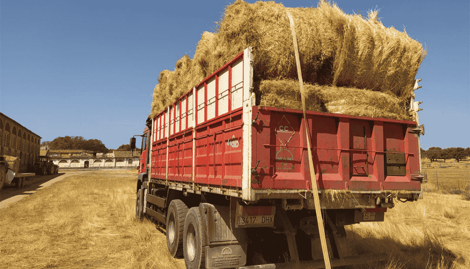 La Diputación de Cáceres reparte pacas de heno a los ganaderos afectados por los incendios