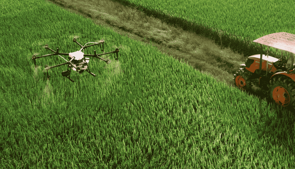 La Vega Innova lanza su III Programa de Aceleración para startups agroalimentarias
