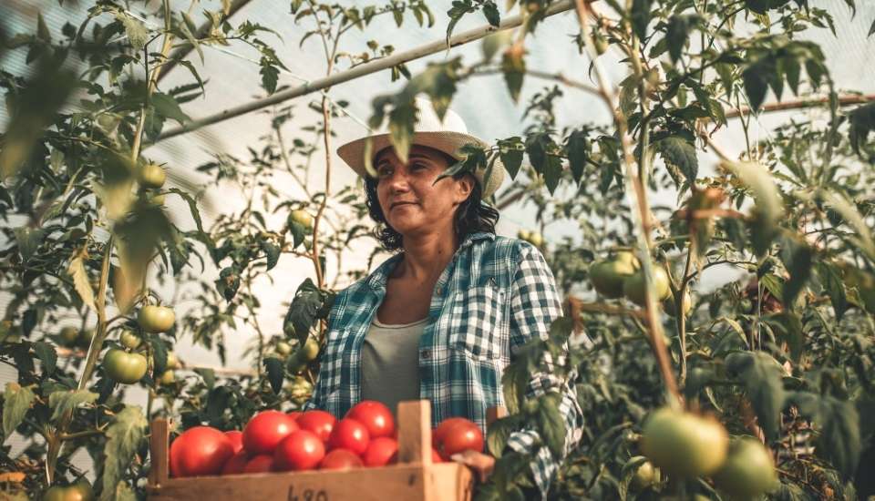 En Extremadura, solo un 10 % de los perceptores de las ayudas directas es menor de 40 años