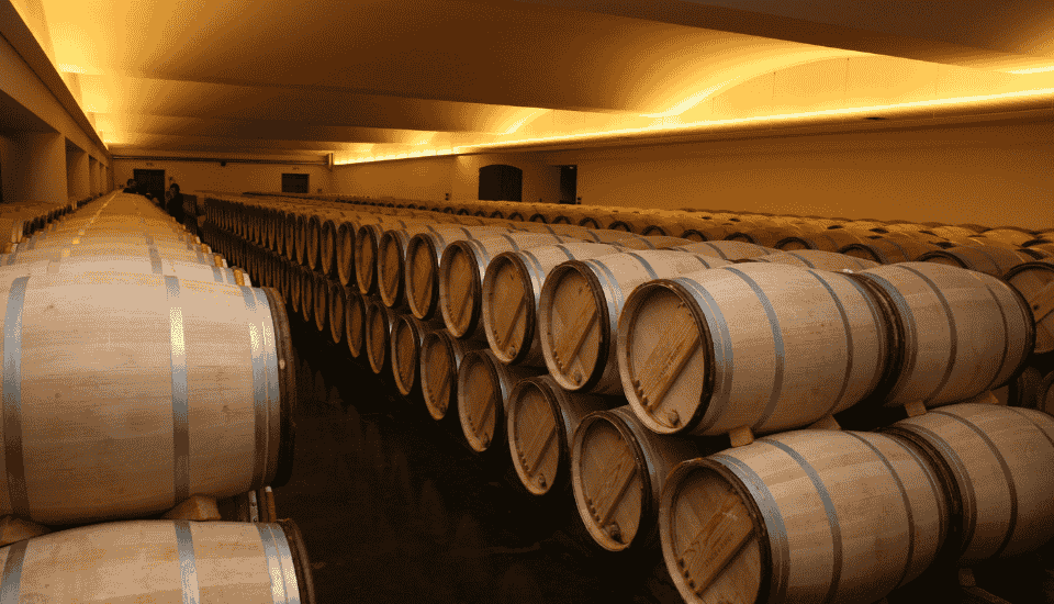 Unión de Uniones reclama a las bodegas contratos en tiempo y precios justos para los viticultores