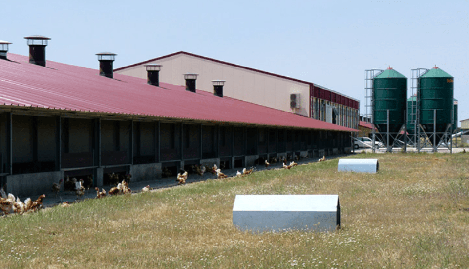 Huevos Guillén levantará en Ribera del Fresno una granja campera para 320.000 gallinas