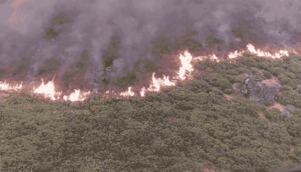 Incendio forestal en Cáceres, Extremadura