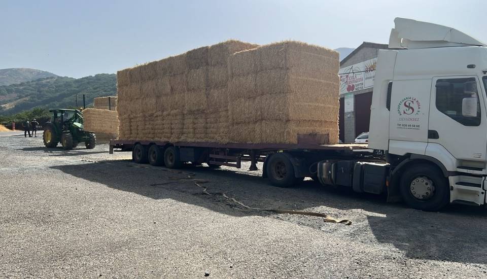 La Junta entrega paja a los ganaderos afectados por los incendios