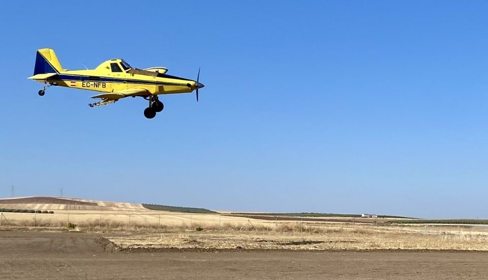 Agricultura inicia el tratamiento fitosanitario para el control de la pudenta del arroz
