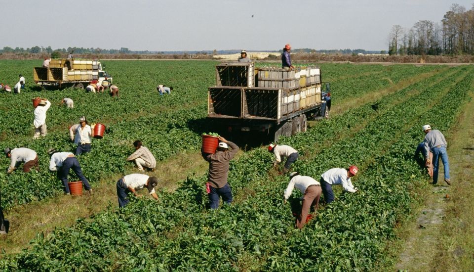 PAC 2028: ¿Recorte o flexibilidad? El debate que divide al campo europeo