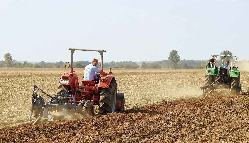 Más de 1.000 agricultores griegos investigados por fraude con subsidios de la UE