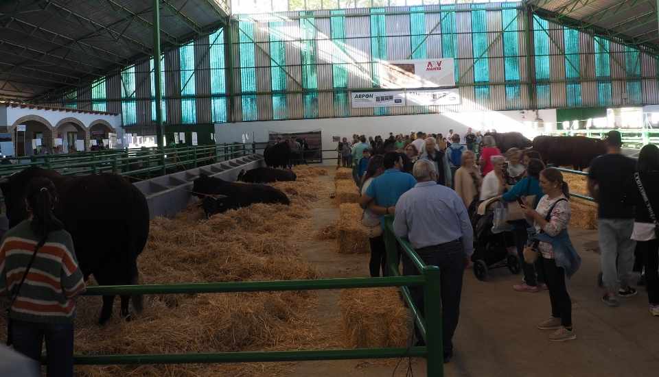 La Feria de Zafra reunirá 2.000 reses y 600 expositores