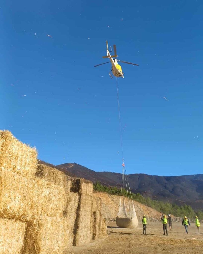 técnica de 'helimulching' en los montes afectados por los incendios forestales
