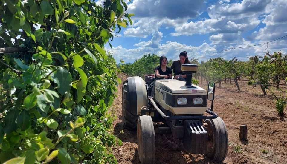 La Junta concederá préstamos de hasta 600.000 euros para jóvenes agricultores