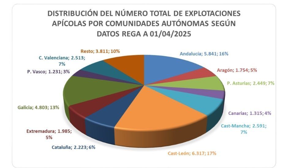 Extremadura concentra el 15 % de la producción nacional de miel en 2024