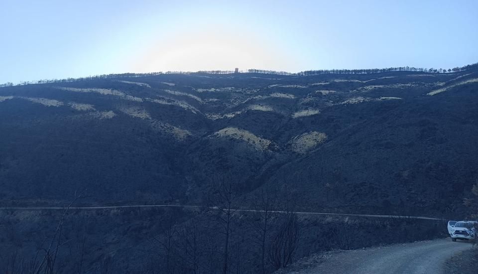 El Ministerio de Agricultura, Pesca y Alimentación (MAPA) ha abierto la consulta pública del real decreto que regulará las ayudas directas a agricultores y ganaderos afectados por los grandes incendios del pasado verano. El plazo para presentar aportaciones estará abierto hasta el 3 de octubre.