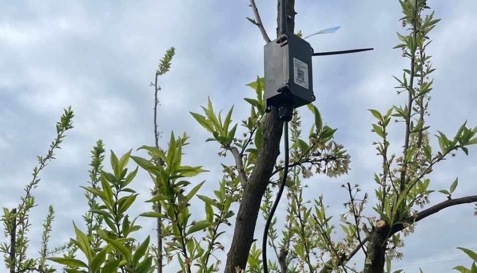 Extremadura participa en el proyecto transfronterizo AgriTech para acelerar la digitalización de pequeñas empresas agrarias