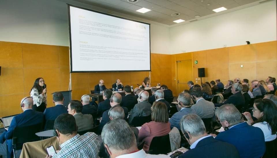 España, Francia, Italia y Portugal analizan en Madrid la situación del sector hortofrutícola y la futura PAC 2028-2034