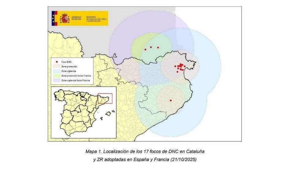 Nueve focos de Dermatosis Nodular Contagiosa (DNC) en explotaciones de la provincia de Girona