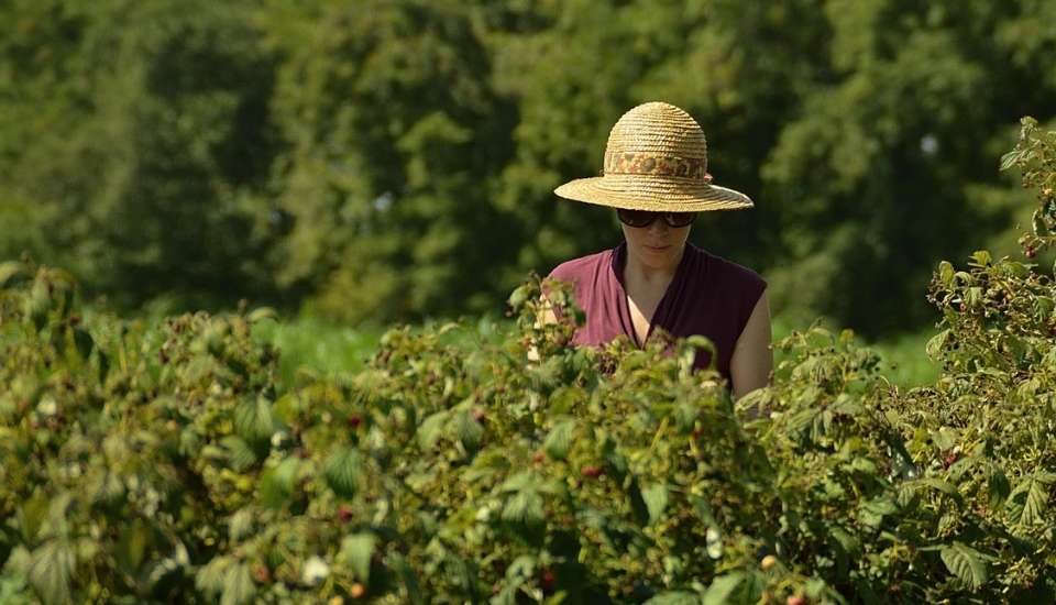 Unión de Uniones denuncia la brecha de género en el campo europeo
