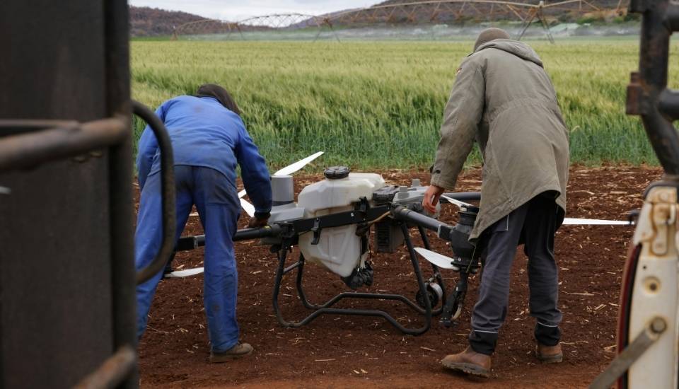 FP Dual en Extremadura priorizará agricultura e industria alimentaria