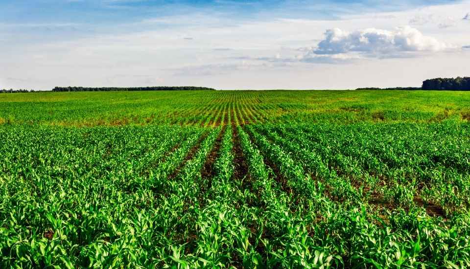 APAG Extremadura Asaja pide a Agricultura máxima flexibilidad en los ecorregímenes