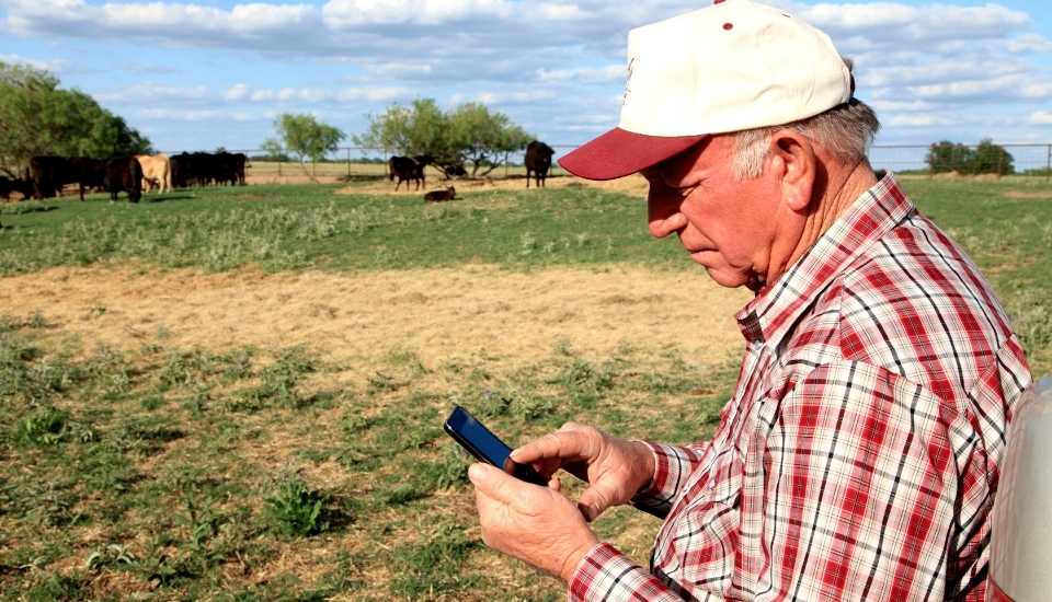 Extremadura ha recibido más de 500 millones en ayudas FEAGA