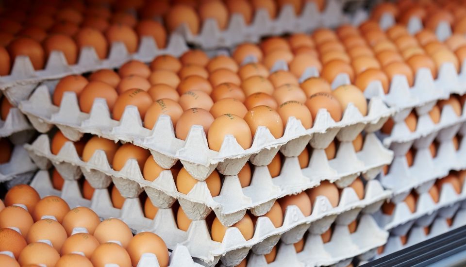 Precios de los alimentarios en Extremadura: en septiembre, suben los huevos y baja el aceite