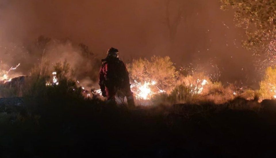 Apag Extremadura Asaja critica la exclusión regional en las ayudas forestales