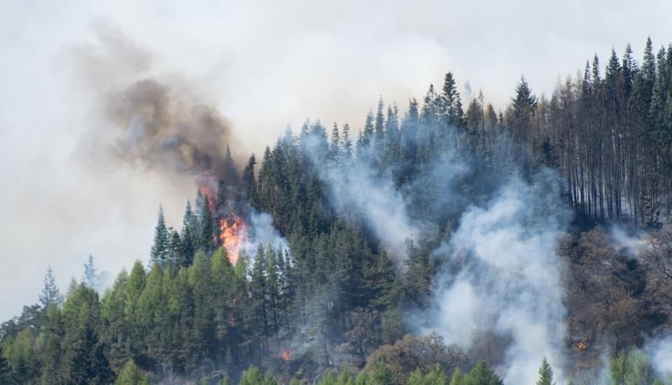 36 municipios extremeños se beneficiarán de las ayudas por los incendios del verano