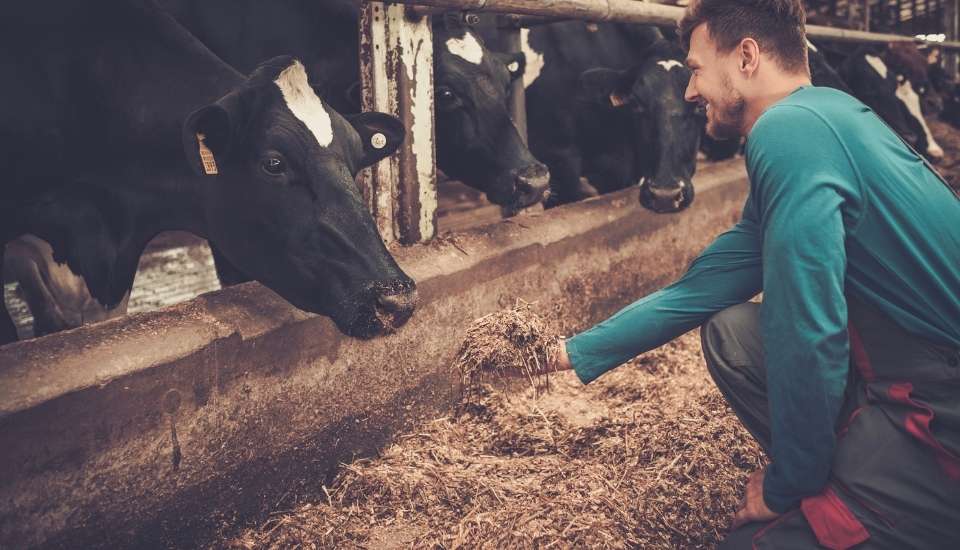 UE presenta su estrategia para duplicar el número de jóvenes agricultores en 2040