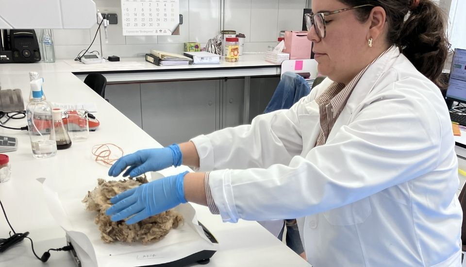 CICYTEX transforma la lana extremeña en productos sostenibles de alto valor