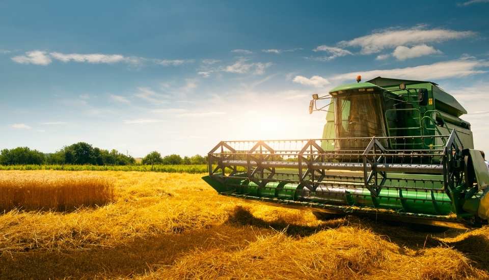 Agricultores y ganaderos extremeños recibirán 277,6 millones en anticipos de la PAC