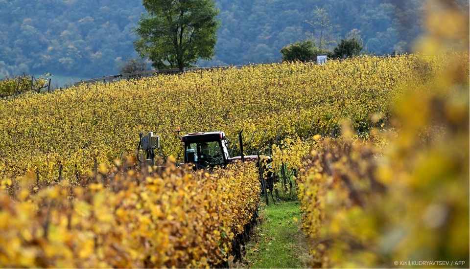 El Parlamento abre camino a simplificar la legislación agrícola de la UE
