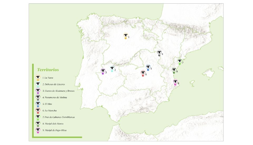 CICYTEX impulsa la ganadería extensiva sostenible con Naturaleza Pastoreada