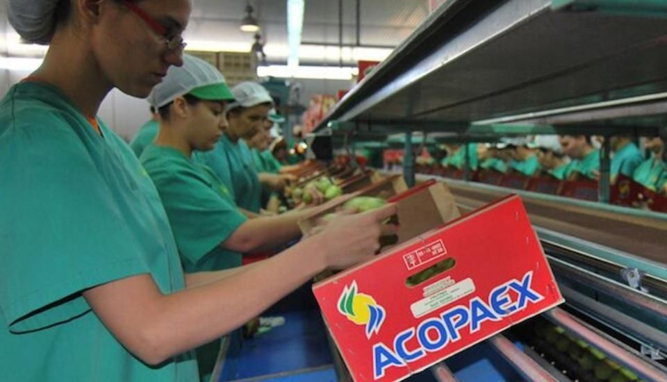 ACOPAEX recibe financiación europea para modernizar su planta de procesado de almendras