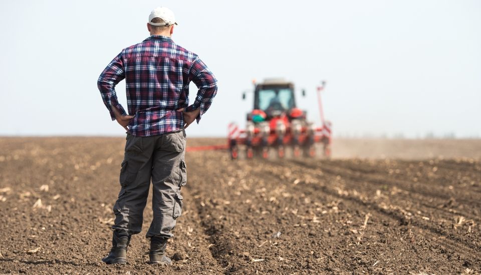 El paro sube en el sector agrario extremeño en octubre