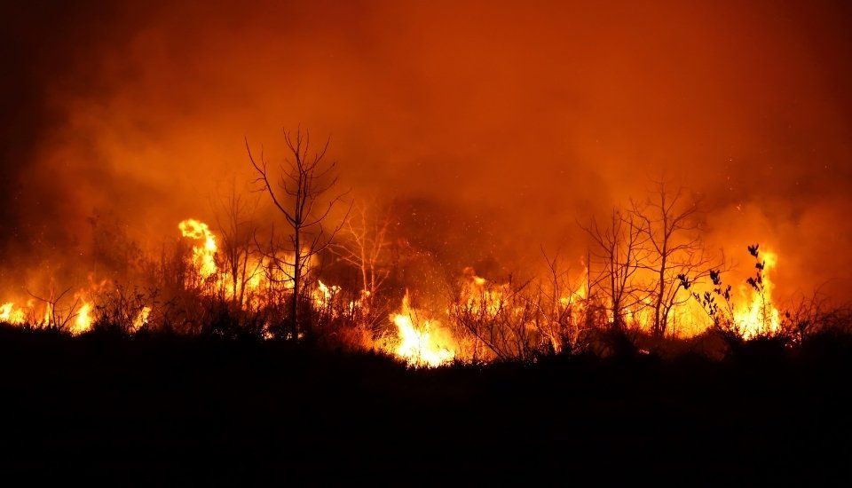 Más de 9.000 agricultores y ganaderos recibirán 27,8 millones en ayudas por los incendios del verano