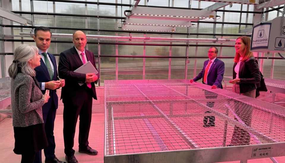 El nuevo invernadero de CICYTEX impulsará el control de enfermedades en los cultivos