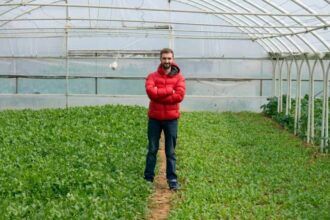 El relevo generacional en el campo: una urgencia que Europa necesita tomarse en serio