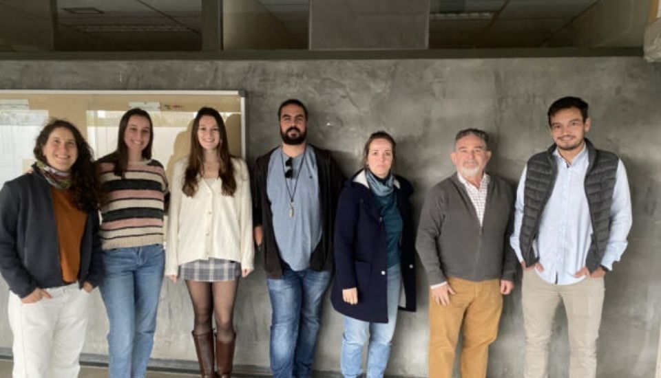 Un estudio de la UEx reduce hasta un 44% la mortalidad invernal de las abejas melíferas