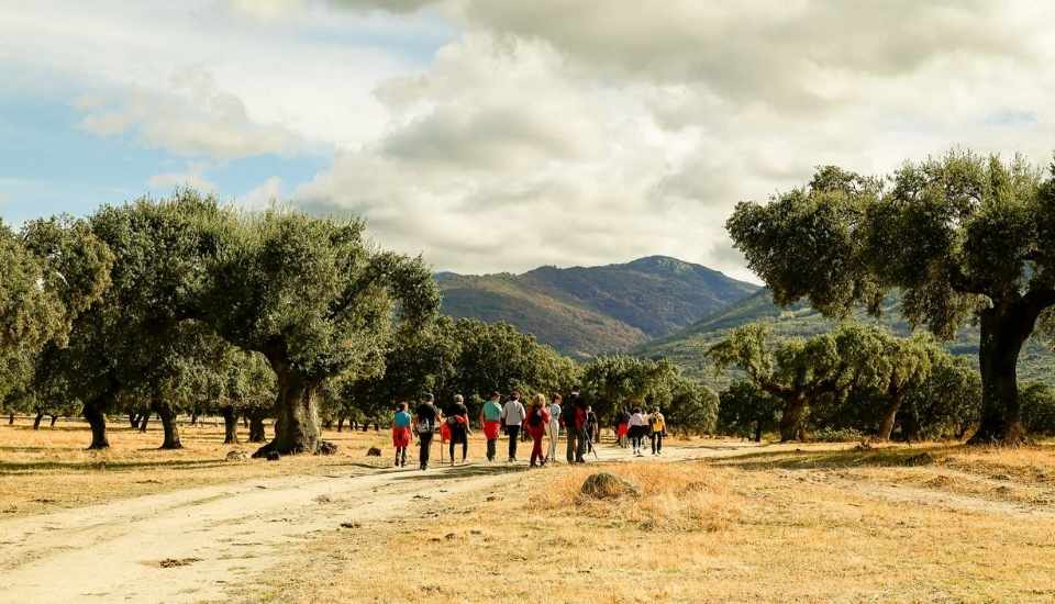 El Valle del Ambroz alerta de posibles llamadas fraudulentas vinculadas al Otoño Mágico