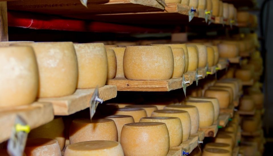 Ayudas a la transformación y comercialización de productos agrícola