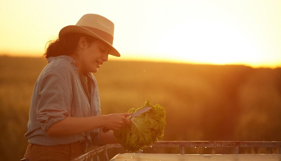 Abierta la 7ª edición del Programa TalentA para impulsar el emprendimiento femenino rural