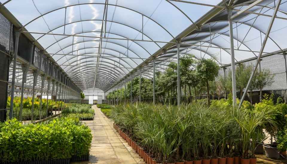 La Diputación de Badajoz lanza la campaña anual de suministro de plantas para zonas verdes