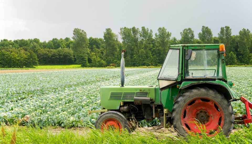 Extremadura supone en torno al 5 % del Valor Añadido Bruto y el empleo en el sector agrario en España