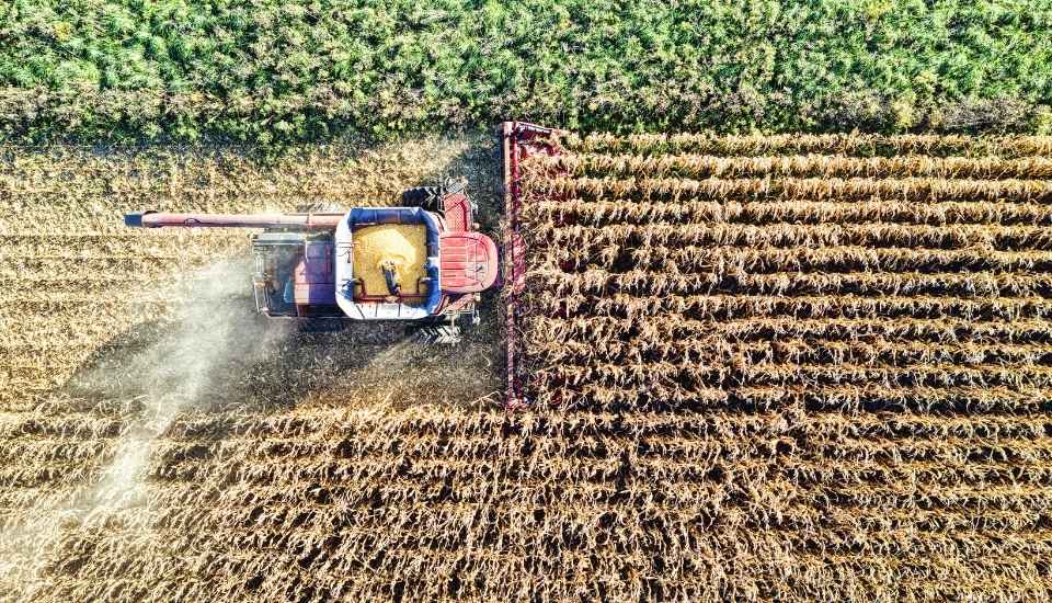 Unión de Uniones califica a 2025 como un año crítico y pide a 2026 un cambio de rumbo
