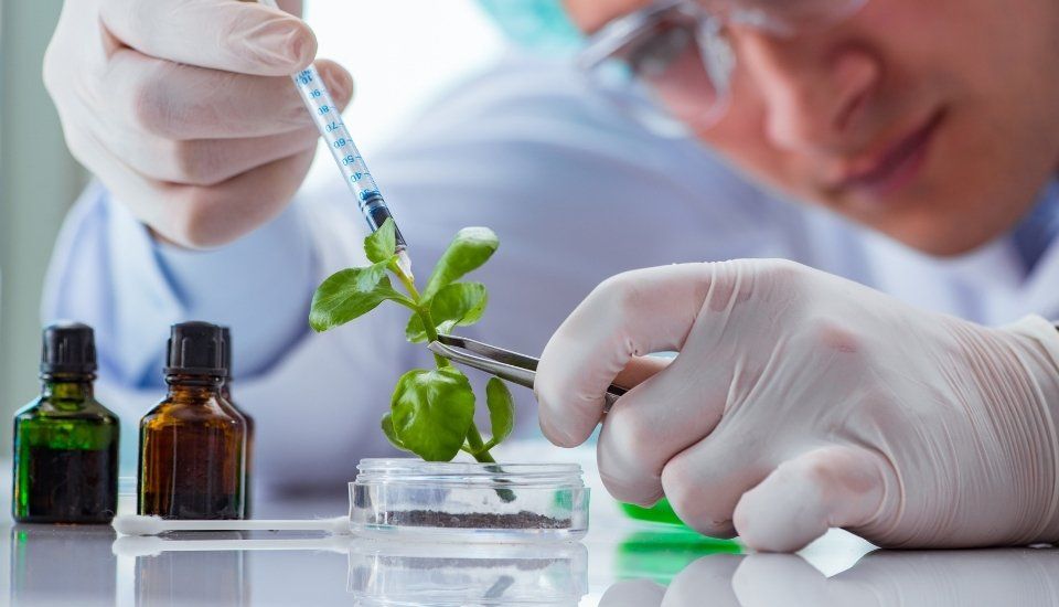 PACMA propone situar Extremadura a la cabeza de la biotecnología vegetal