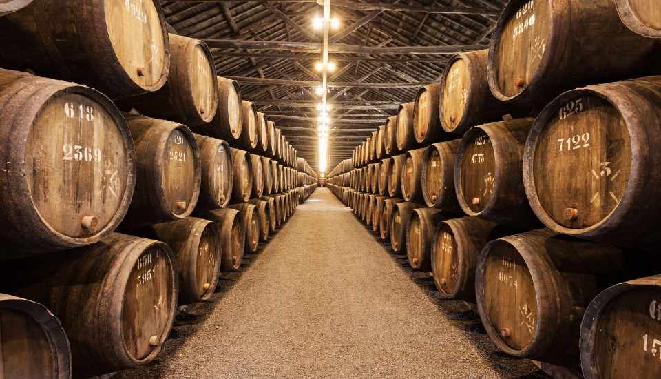 La FEV celebra el acuerdo del “paquete vino” y reclama su inclusión en la futura PAC