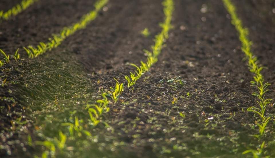 El Mecanismo de Ajuste en Frontera por Carbono causa otro alza de costes al campo europeo