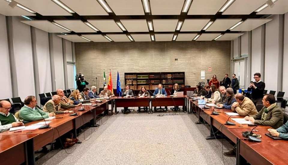 La Junta elaborará un plan para reducir la población de jabalíes