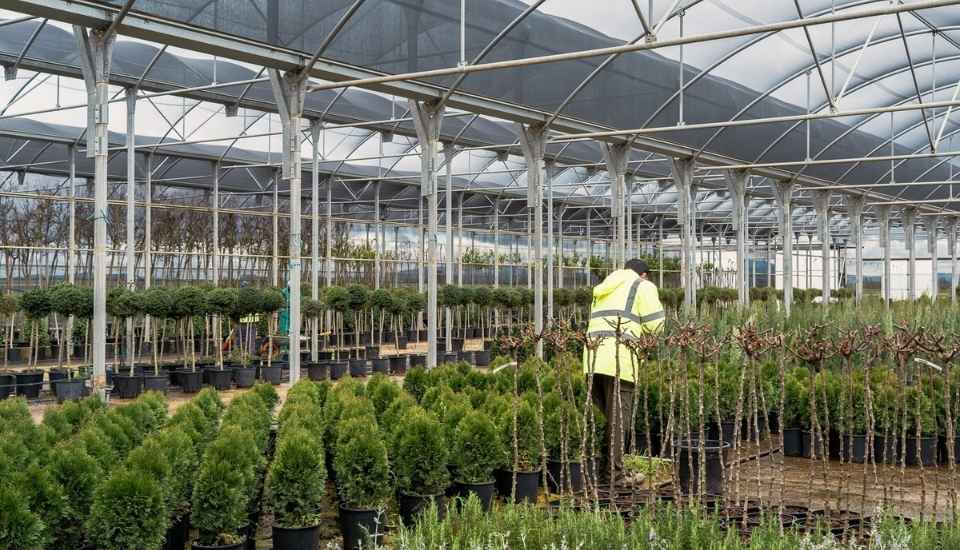 El Vivero Provincial suministra 44.000 plantas para mejorar las zonas verdes municipales