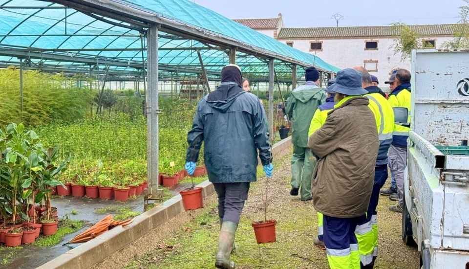 La Diputación de Cáceres distribuye 23.000 árboles, arbustos y aromáticas a 147 ayuntamientos